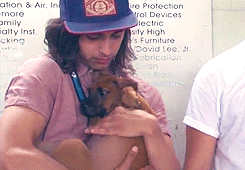 damnedcoffee:  I wish I was that freaking puppy… 