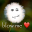 springytism