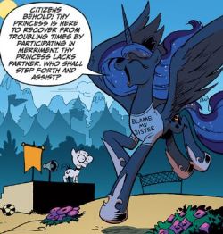 ibongbakal:  Princess Luna’s shirt kept