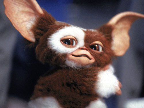 ohmy80s:GIZMO