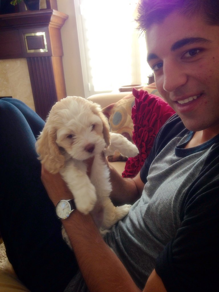 cute-overload:  I got a baby brother!http://cute-overload.tumblr.com
