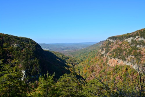 Cloudland Canyon State Park in the fall