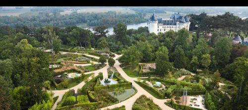 castlesandmedievals:château de Chaumont