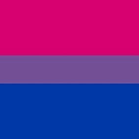 starrynightstims:Bisexual/Biromantic Pride Stimboard for Two Anons[ X || X || X ][ X || X || X ][ X 