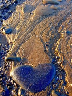 beautymothernature:  The beach has my hea share moments