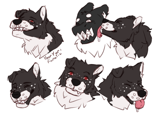 Made Her Human Form And Changed The Colors A Bit