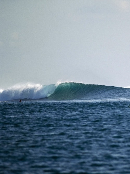 surfsouthafrica:G-Land, Java. Photo: Peter ‘Joli’ Wilson.