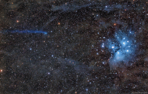 just–space:Blue Comet Meets Blue Stars: What’s that heading for the Pleiades star cluster? It 