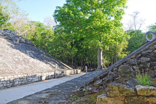 Maya ball court, Coba, Quintana Roo, Mexico. Major building construction seems to have occurred in C