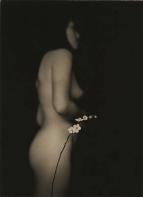 tilikecoelho:  Masao Yamamoto #1244, 2002  (Toned Gelatin Silver Print) 