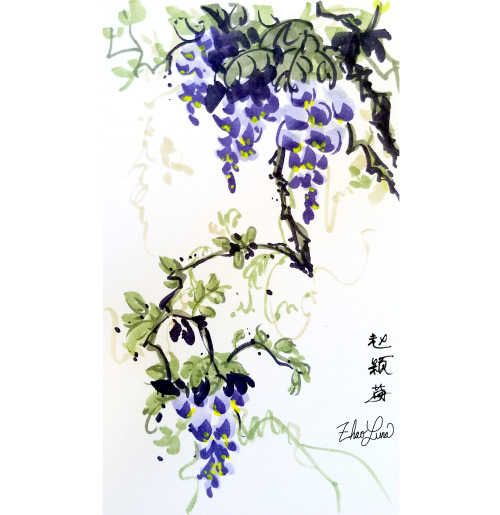 Copic markers to mimic the Chinese watercolor style - Wisteria