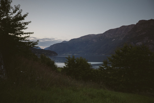 stephaniedolen:summer night, lusterfjord, norway