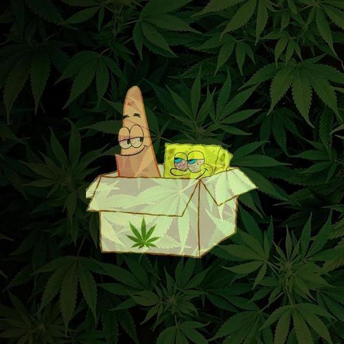 hallucinoqenic:  acid culture 