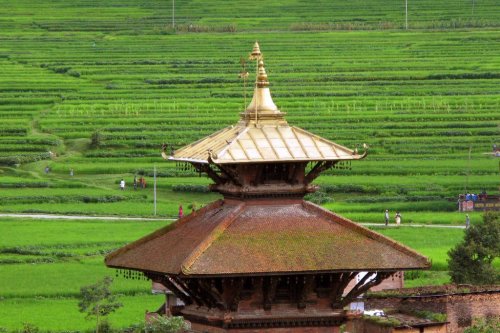 Temple and rice fields, Panauti, Nepal