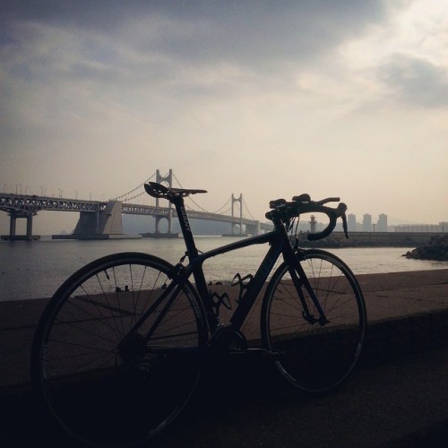 instabicycle: Via @dhrbcks486: 날씨 우중충.. 뭔가타기애매한날씨 . . . #roadbike #bike #bicycle #cycle #giantbikes 