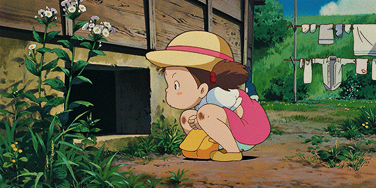 animationsource:  My Neighbor Totoro (1988)