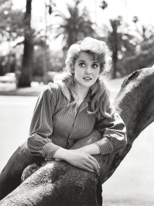 Donna Douglas / publicity photo for The Beverly Hillbillies (CBS 1962-71)