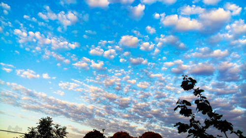 etherealphoto:  Floating By by Me