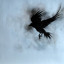 raven-n-tha-moonlight