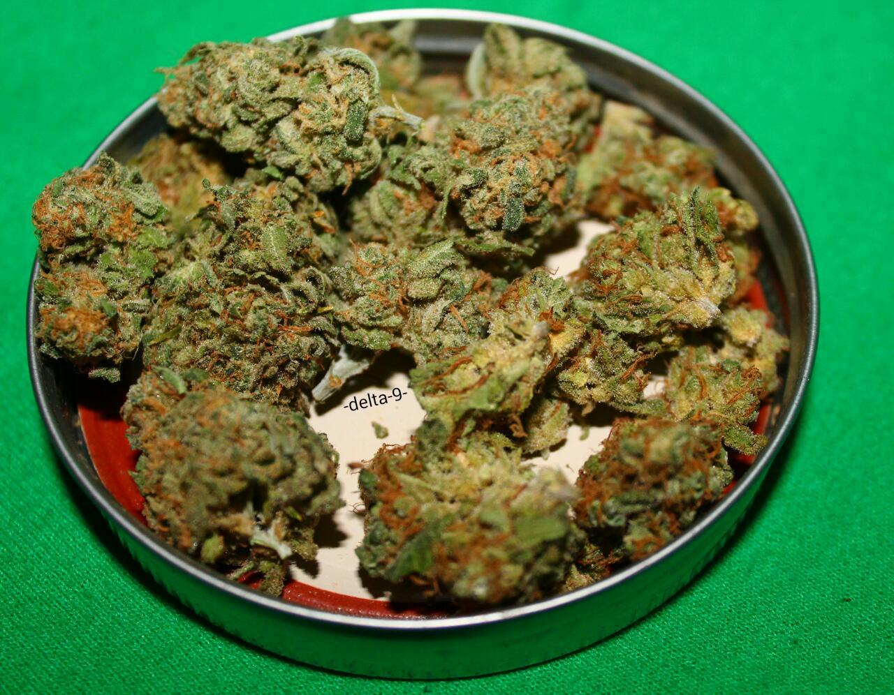 -delta-9-:  Unknown Strain Of Dank From, Portland Oregon🔥