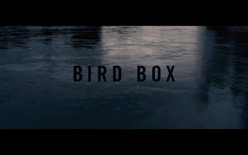 Bird Box / 2018 / US / d. Susanne Bier