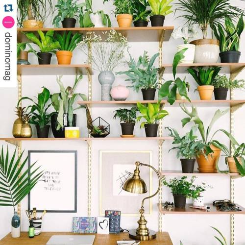 Spot my #westelm vase hiding amongst all the lovely plants! #Repost by @dominomag from @dabito with 