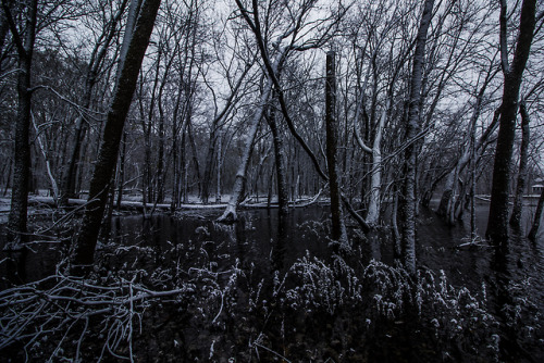 garettphotography:Winter Arrives | GarettPhotography