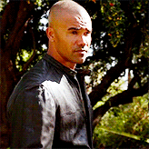 pirrips:  Season 1 to 9 ¬ Morgan&ldquo;You know, we forget half of what they