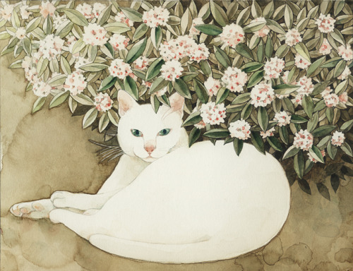 Midori Yamada aka 山田緑 (Japanese, b. Chiba,Japan) - 1: 共生する (Kyousei/Live Together), 2008 Pen, Acryli