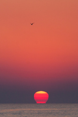 intothegreatunknown:  Orange Sunrise | Point