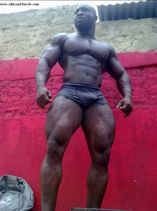 blkbugatti:  hairyblklvr:  Pedro Pitchu, bodybuilder from Angola  love this sexy african trade 
