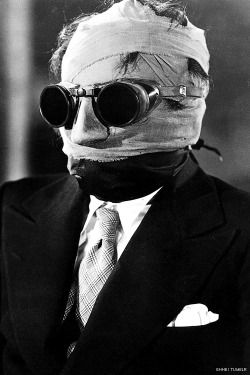 boutiquehorrorhorrorboutique:  The Invisible Man (1933) 