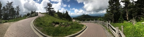 Panorama: Trail to the Summit of Mt. Mitchell, Mt. Mitchell State Park, Yancey County, North Carolin