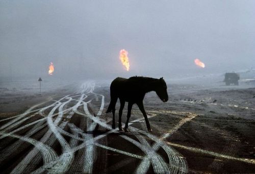 historicaltimes: Kuwait, Al Ahmadi Oil Fields, 1991, photographed by Steve McCurry via reddit
