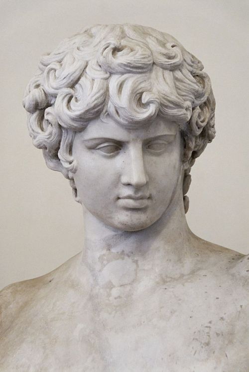 classical-beauty-of-the-past:Ludovisi Antinous by Marie-Lan Nguyen (Jastrow)