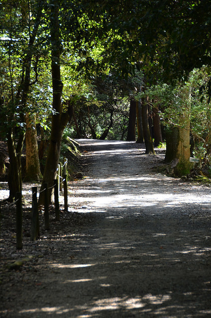 Quiet Nara Path by pokoroto on Flickr.