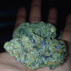 higheramerica:  Cosmic Cookies