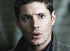 mishas-assbutts:The dramatic close up. For when shit gets real.