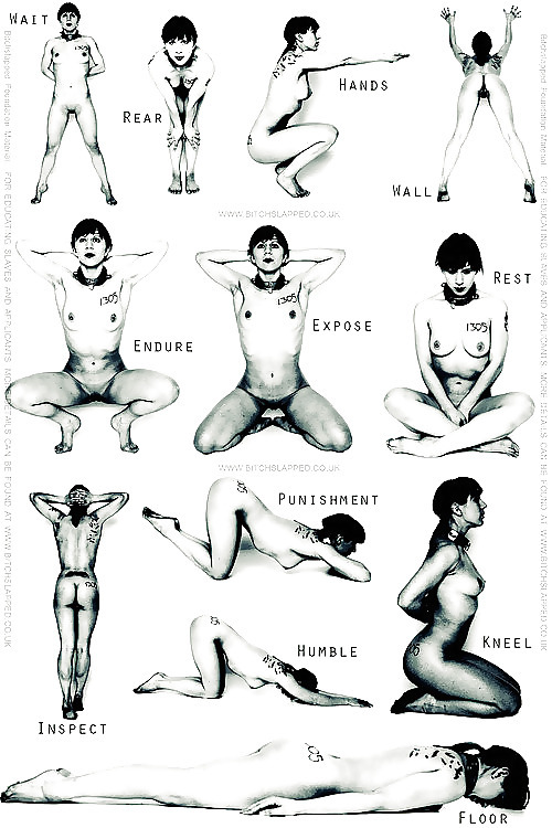 insatiableslut:  What’s your favorite?  Nice poster showing the classic slave positions. 