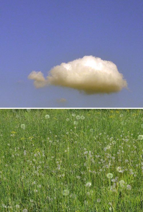 years-of-indiscretion: The Sky Above, The Earth Below ~ Groton MA ~ 27 May 2015