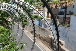 Razor wire