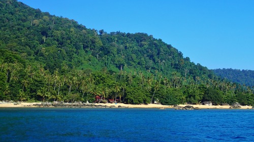 coleopterist:  This is the little resort that I spend my weeks working at. I totally recommend stayi