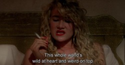 nadi-kon:  Wild at Heart (1990) dir. David
