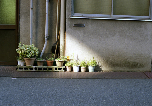 神保町 植木鉢 Chiyoda-ku, Tokyo by ymtrx79g on Flickr.