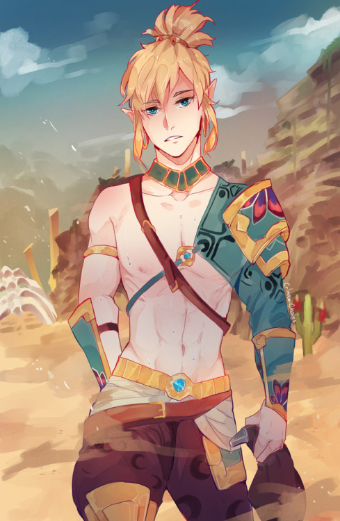 crimson-chains:HEY SOLink has this Voe Gerudo outfit????AND I AM IN LOVE???Link to his other Gerudo outfit