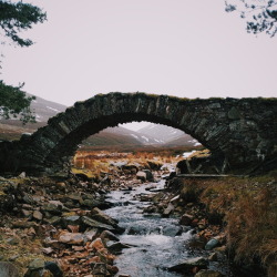 danielodowd:  http://jackblundell.vsco.co/