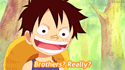 seikens:  Portgas D. Ace Alphabet Series ↔ B for Brothers