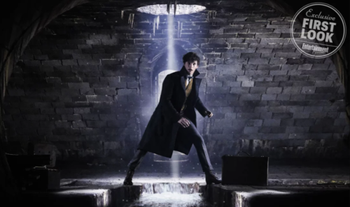 sobsoverredmayne: The Crimes of Grindelwald First Look