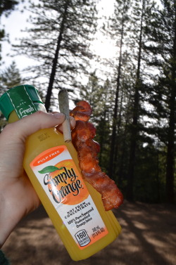 incredible-kush:  Waken Bacon