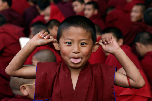 cacophiliac:  silvermender:  awkwardsituationist:  novice buddhist monks. photos: 1. mahabodhi temple in bodh gaya, india by rajesh kumar singh; 2. thimpu, bhutan by roberto schmidt; 3. tibet by brian sokol; 4. mandalay, myanmar by bonnie stewart; 5.